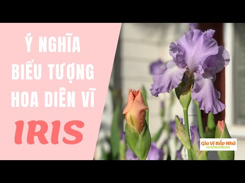 Video: Cây Iris - Mẹo Trồng Iris