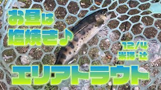 エリアトラウトセット　最終値下げ！今月末出品取消 楽天市場】エリア トラウト セットの通販