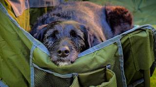 Camping on the Ohio River | Calm Before the Storm