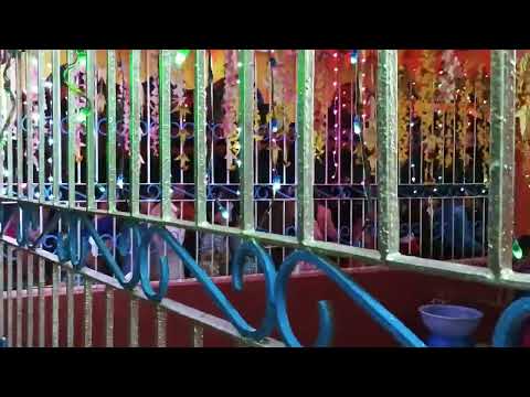 Dandeli Dassera 5 Am Scenes | ದಾಂಡೇಲಿ ಜಾತ್ರೆ