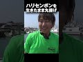 ハリセンボンを生きたまま油で揚げてみたら…