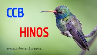 HINOS CCB 2021 CONGREGAÇÃO CRISTÃ NO BRASIL HINOS CCB PARA LOUVOR DEUS 2