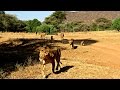 Exploring Samburu: A luxury safari game drive with Saruni Samburu in Kenya