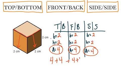Surface Area without Nets