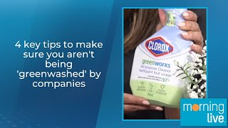 Celebrity 4 key tips to make sure you aren't being 'greenwashed' by companies Profile