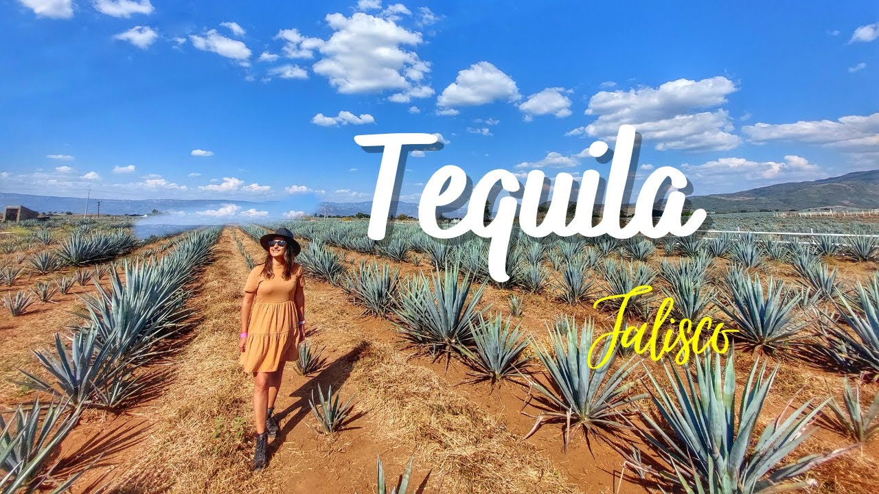 Tequila Jalisco, Pueblo Mágico 🇲🇽 Cantaritos el Güero Tequilera