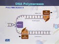 BIO203 Methods in Molecular Biology Lecture No 5