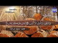 ابداع يروق لجميع المحبين من سورة البقرة الشيخ محمود علي البنا Mahmoud Al Banna 