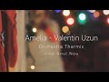 Amelia &amp; Valentin Uzun &amp; Orchestra Tharmis - Vine Anul Nou (Official Video)
