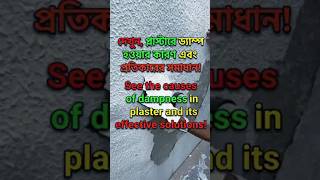 প্লাস্টারে ড্যাম্প/ নোনা ধরার কারণ ও সমাধান | Plaster Dampness Causes &amp; Solutions 🛠️⚠️💧