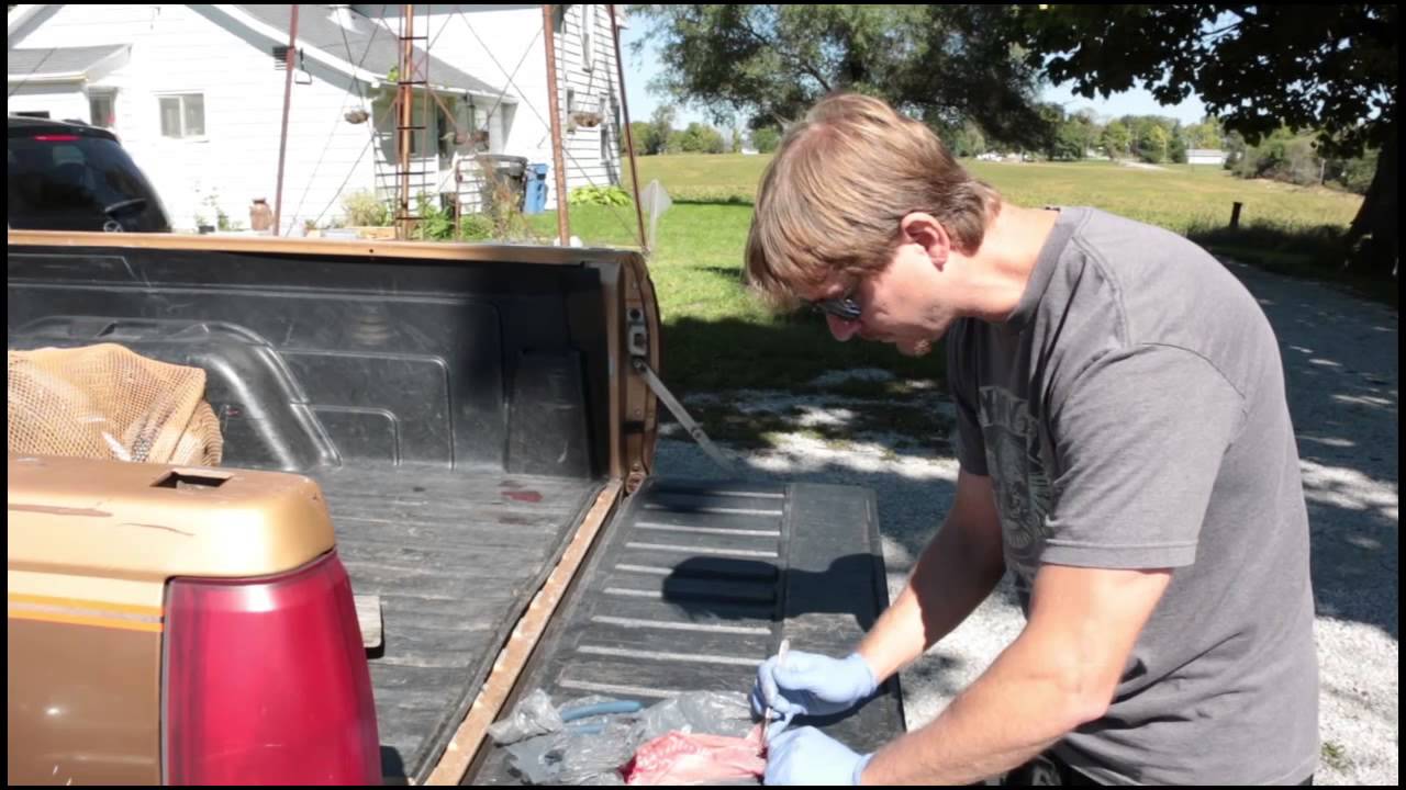 Squirrel Hunting Tips How to Clean and Field Dress A Squirrel YouTube