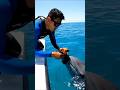 Dolphin POV: The Hidden Ruins Under the Reef (Shocking Discovery)🐬🌊#shorts