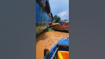 Thức dậy đi câu cá cảng cái cui, cảng cần thơ