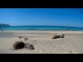 Kedrodasos Beach - Crete -Beach of Eden