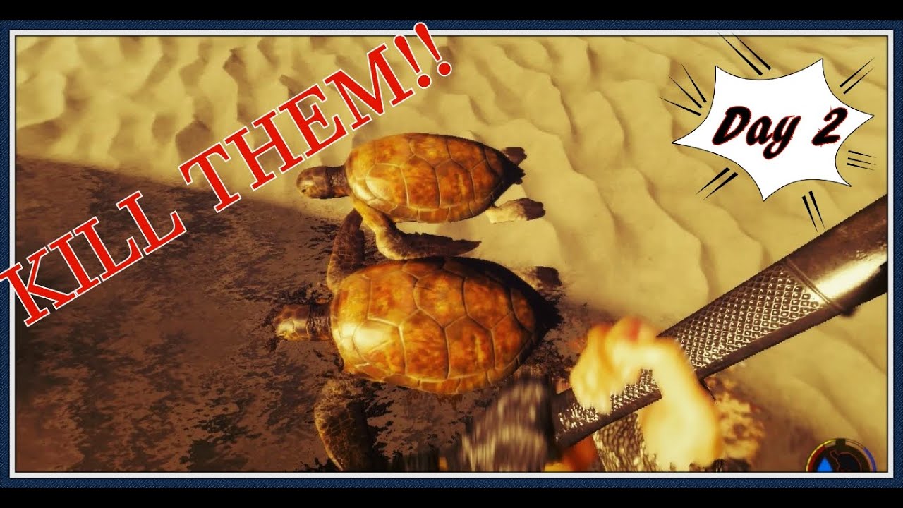 The Forest Day 2 Kill All The Turtles YouTube