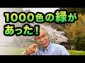 【水彩画】プロが驚いた『1000色の緑』。春の田園を描くコツ
