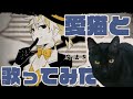 【愛猫と】夢喰い白黒バク【歌ってみた】