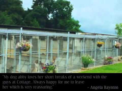 Kennels Boarding Cottage Kennels Cattery Youtube