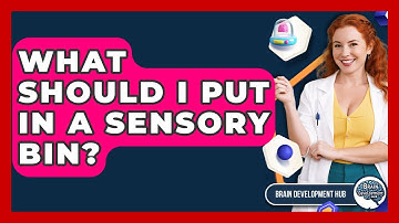 What Should I Put In A Sensory Bin? - Brain Development Hub