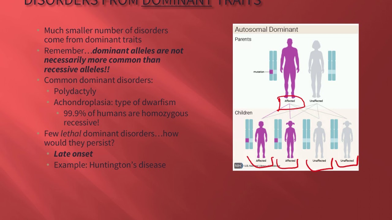 mutations and genetic diversity