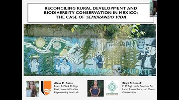 Forestry and land use policy in Mexico with ​Alana Rader and Birgit Schmook