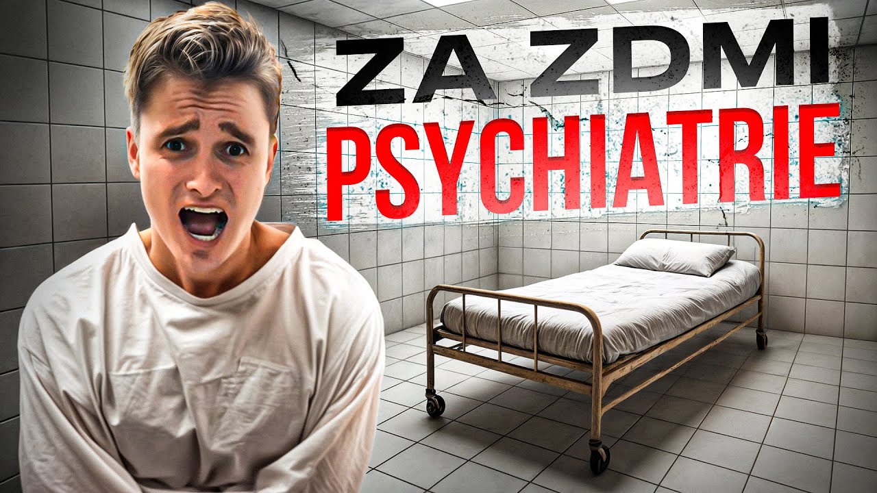 DEN V PSYCHIATRICKÉ LÉČEBNĚ