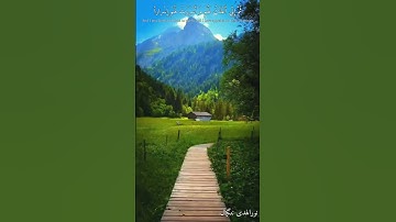 تلاوة جمیل سورة نوح ارح قلبک 💓|نورالهدی ننگیال|#رمضان #الجمعة #شورت