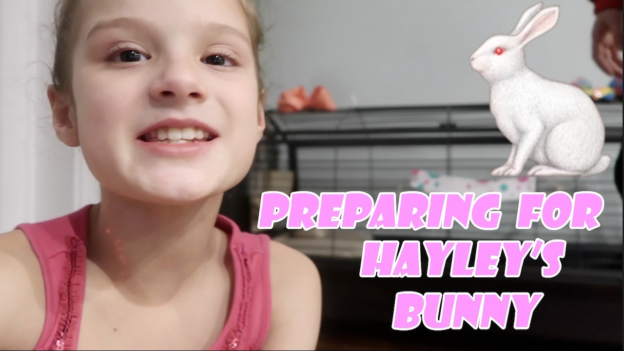 vlogs in spanish Preparing For Hayley's Bunny 🐇 (WK 324.2) | Bratayley