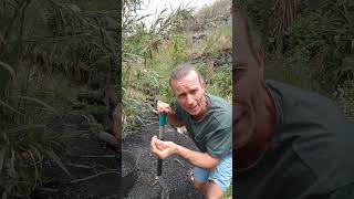 Pflanzenkohle Zerkleinern Eine Gute Methode Für Dich Und Deinen Garten