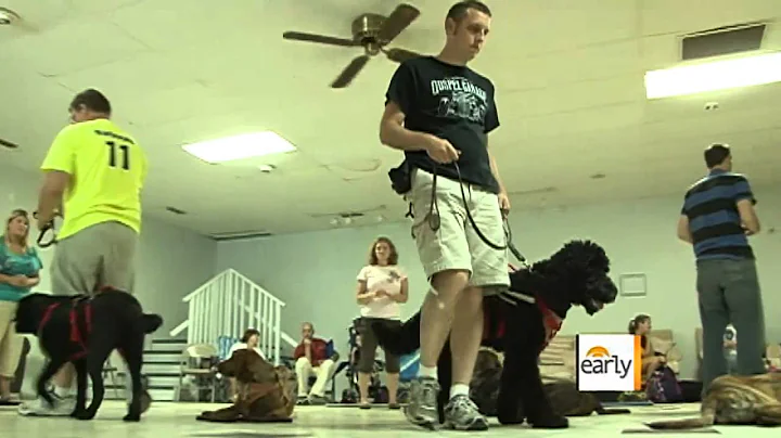 The Early Show - Service dogs and epilepsy