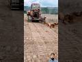 Ploughing Bulldozer Youtubeshorts Machinery Heavyequipment Shortfeed