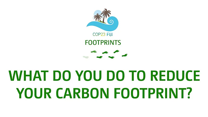 What do you do to reduce your carbon footprint?