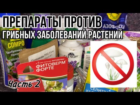 Препараты против грибных