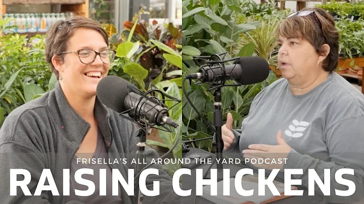 Raising Chickens for Beginners | Frisella's All Ar...