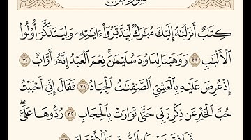 ﴿كِتابٌ أَنزَلناهُ إِلَيكَ مُبارَكٌ لِيَدَّبَّروا آياتِهِ وَلِيَتَذَكَّرَ أُولُو الأَلبابِ﴾