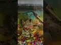 my fish tank fish lovers ho to 1 subscribe