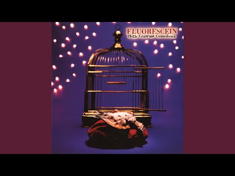 Fluorescein — Crazy Eights