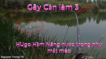 Câu Cá Lóc Ngoài Tràm Chim #18 || Đụng Hugo Gãy Cần || Cận Cảnh Cá Táp Mồi Thật Hấp Dẫn