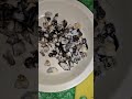 a mi me encata 😋 #huitlacoche #comidamexicana #tesorosmexicanos #mexico #apoyo #pazmental