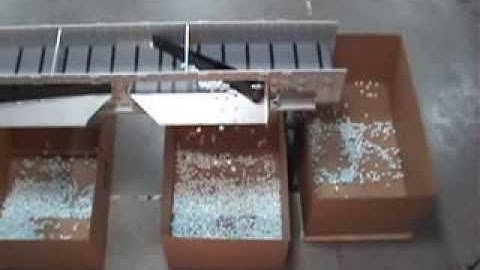 DynaCon Conveyor with Diverting Arms