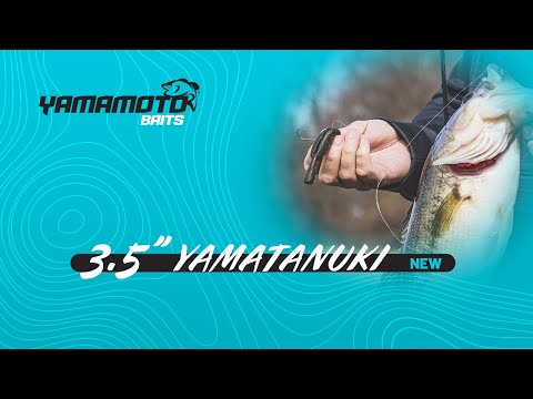 The new Yamamoto Yamatanuki! 