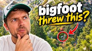 Did Bigfoot Throw Something at My Drone?
