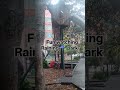 rainy park