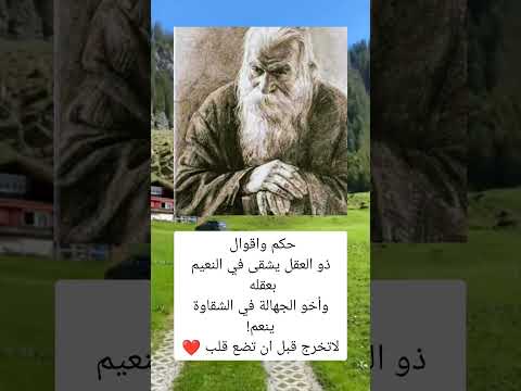 ذو العقل يشقى في النعيم بعقله وأخو الجهالة في السعودية فلسطين العراق معلومات الجزائر المغرب
