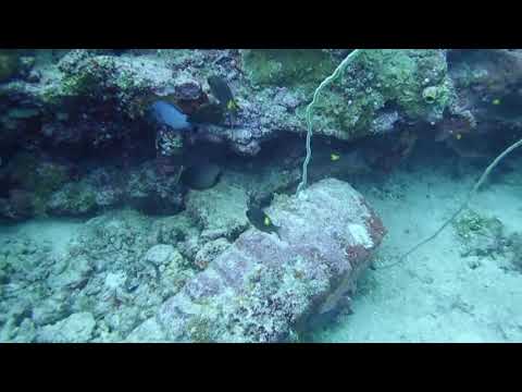 Historical Heritage of World War II (Underwater) in Biak, Papua, Indonesia