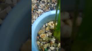 Exploring underwater artifacts #shorts