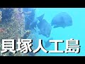 【海釣り】貝塚人工島 釣り場の水中映像