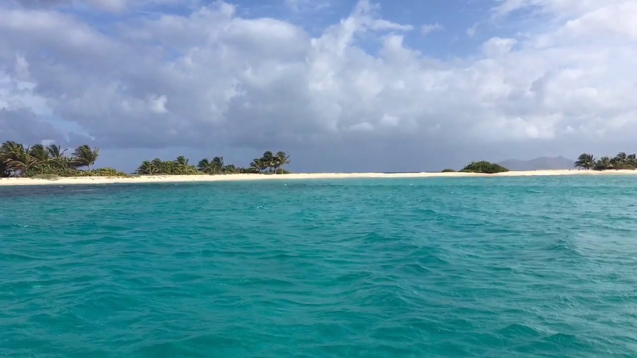 ⁣PURO CARIBE I