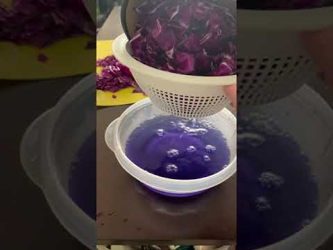 Why natural food coloring is harder than you think shorts