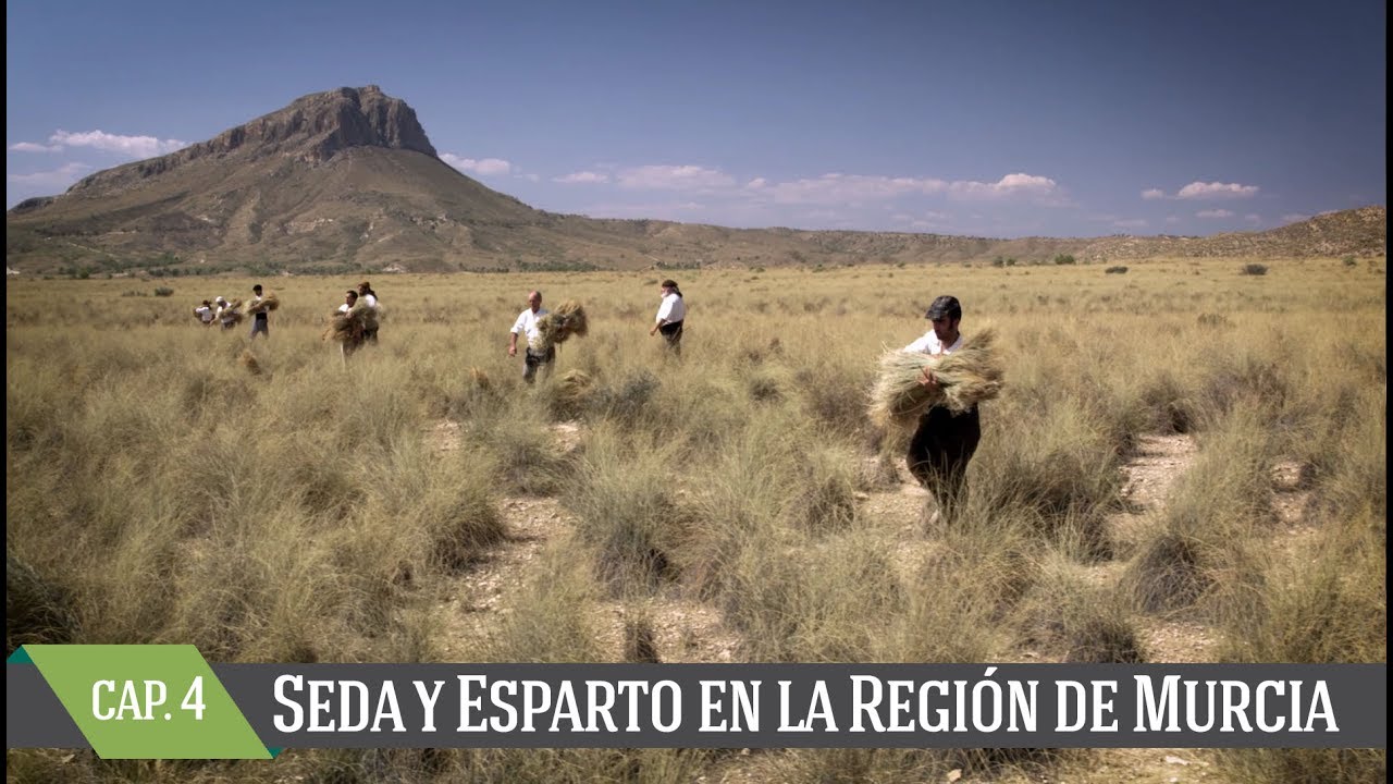Seda y Esparto en la Región de Murcia. Capítulo 4 - Extracción del esparto